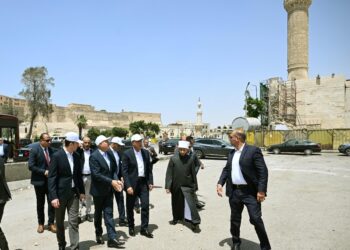 تفاصيل جولة رئيس الوزراء في منطقة السيدة عائشة