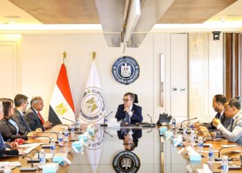 التخطيط: إعداد”رؤية مصر 2040″ وإعادة هيكلة الاقتصاد الوطني بالتعاون مع البنك الدولي