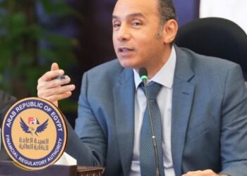 الرقابة المالية تمنح صناديق التأمين الحكومية مهلة للإلتزام بقواعد الاستثمار