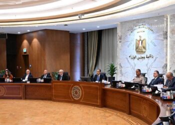مجلس الوزراء يوافق على حزمة قرارات لدعم قطاع القطن وتنمية التجارة وتعزيز كفاءة الخدمات الحكومية