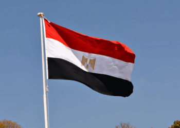 مصر تدين الهجوم الإرهابي على مطار نيامي الدولي في النيجر وتؤكد تضامنها الكامل