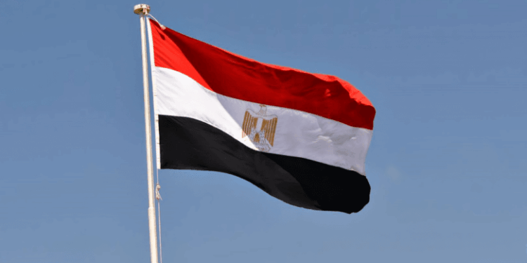 مصر تدين الهجوم الإرهابي على مطار نيامي الدولي في النيجر وتؤكد تضامنها الكامل