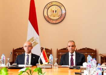 وزيرا الخارجية والاستثمار يبحثان تعزيز التنسيق لدعم استثمارات الشركات المصرية في إفريقيا