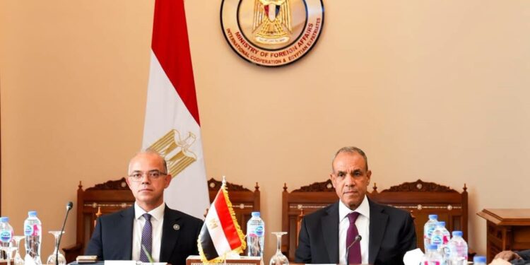 وزيرا الخارجية والاستثمار يبحثان تعزيز التنسيق لدعم استثمارات الشركات المصرية في إفريقيا