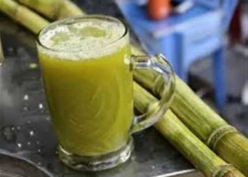 الأطباء البيطريين تحذر من شرب عصير القصب في هذه الحالات
