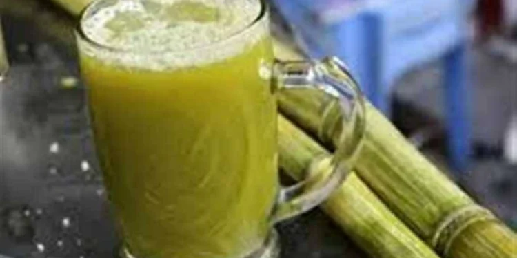 الأطباء البيطريين تحذر من شرب عصير القصب في هذه الحالات