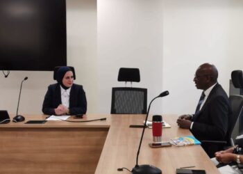 مصر تؤكد مواصلة التعاون مع البنك الأفريقي للتنمية لدعم التنمية وجذب الاستثمارات