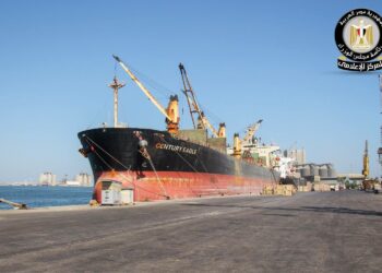 ميناء دمياط يواصل التشغيل بكامل طاقته واستقبال السفن وتداول البضائع دون توقف