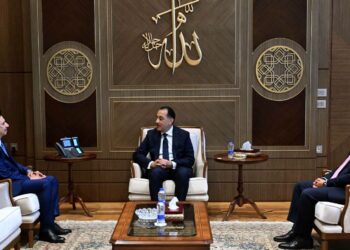مصر تبحث توسيع استثمارات “موانئ دبي العالمية” في المنطقة الاقتصادية لقناة السويس