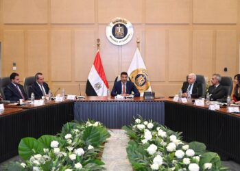 وزارة الصناعة: اتفاق لخفض استهلاك الغاز بمصانع السيراميك ضمن مبادرة «شمس الصناعة»