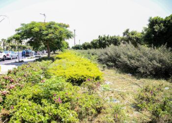 وزيرة الإسكان تتابع تطوير مداخل وطرق مدينة بدر وتوجه بسرعة الإنجاز