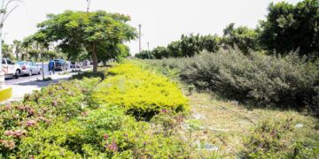 وزيرة الإسكان تتابع تطوير مداخل وطرق مدينة بدر وتوجه بسرعة الإنجاز
