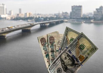 استقرار سعر الدولار أمام الجنيه المصري في بداية تعاملات الإثنين