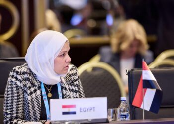 رئيس مصلحة الضرائب: مشاركة مصر باجتماعات دول «البريكس» تعكس تطوير الإدارات الضريبية