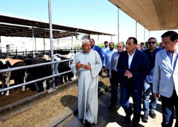 مدبولي يشيد بمزرعة «العمار» لتنمية الثروة الحيوانية.. طاقة إنتاجية تصل إلى 15 ألف رأس