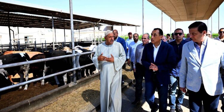 مدبولي يشيد بمزرعة «العمار» لتنمية الثروة الحيوانية.. طاقة إنتاجية تصل إلى 15 ألف رأس