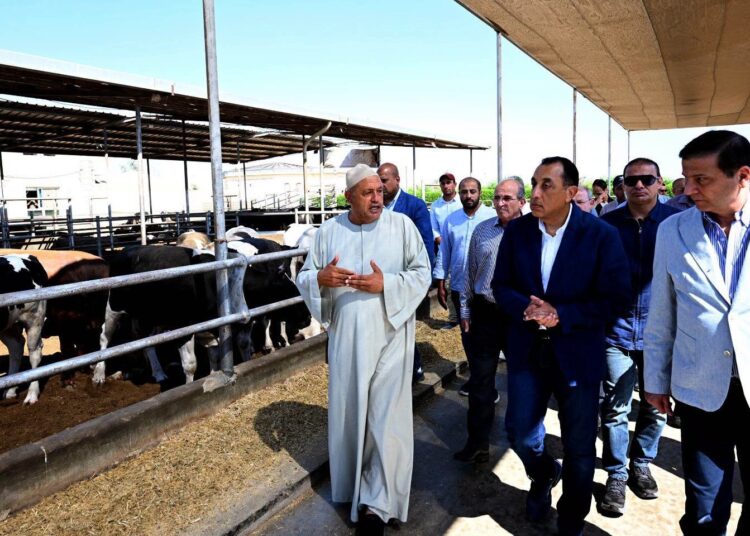 مدبولي يشيد بمزرعة «العمار» لتنمية الثروة الحيوانية.. طاقة إنتاجية تصل إلى 15 ألف رأس