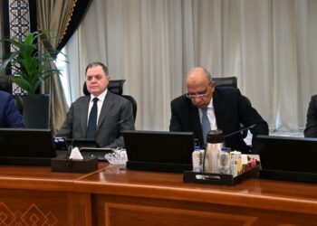 مصر تستهدف رفع قدرات الطاقة المتجددة إلى أكثر من 30 ألف ميجاوات بحلول 2029