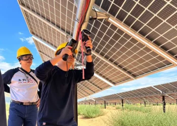 مجلس الوزراء يستعرض استثمارات «Elite Solar» بالسخنة.. مصنع لتوطين صناعة الألواح والخلايا الشمسية في مصر