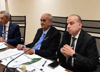 مشروع قانون لإعادة هيكلة جهاز «مستقبل مصر» وتحويله إلى هيئة اقتصادية تتبع رئيس الجمهورية