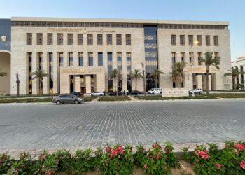 التعليم العالي: ربط الدراسة بسوق العمل وتطوير المهارات والتحول الرقمي في صدارة الأولويات