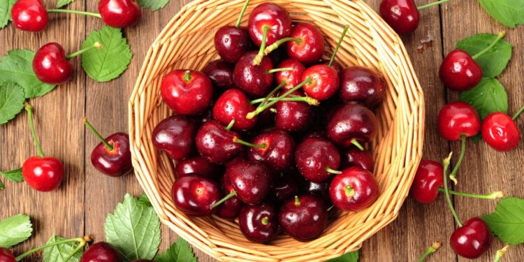 ماذا يحدث لمستوى السكر في الدم عند تناول الكرز؟ خبراء التغذية يوضحون فوائده وتأثيره
