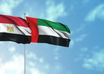 شراكة مصرية إماراتية بـ500 مليون دولار لتأمين إمدادات القمح لمدة 5 سنوات