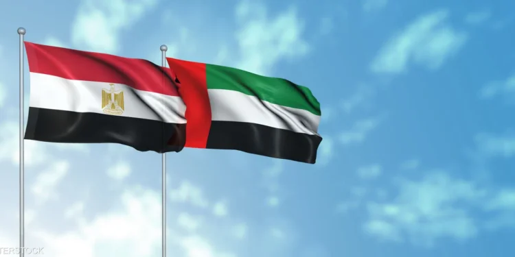 شراكة مصرية إماراتية بـ500 مليون دولار لتأمين إمدادات القمح لمدة 5 سنوات