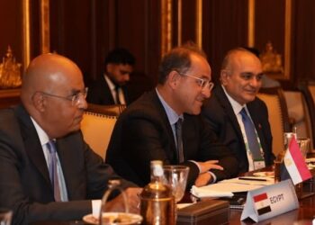 وزير المالية: نستهدف زيادة التبادل التجاري والاستثماري مع الهند وفتح آفاق اقتصادية جديدة