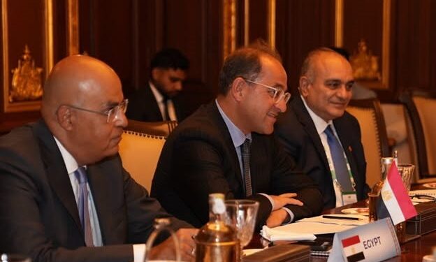 وزير المالية: نستهدف زيادة التبادل التجاري والاستثماري مع الهند وفتح آفاق اقتصادية جديدة