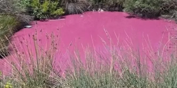 اليونان