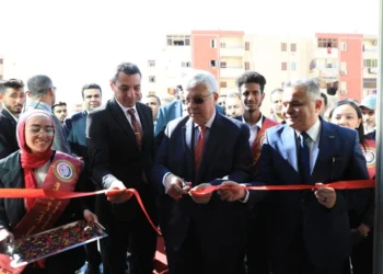 جامعة السويس