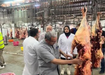 تطوير المجازر الحكومية.. هكذا تستعد مصر لتحسين سلامة اللحوم