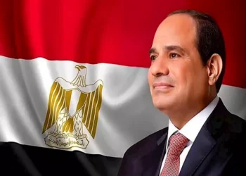 دعاوى النفقات