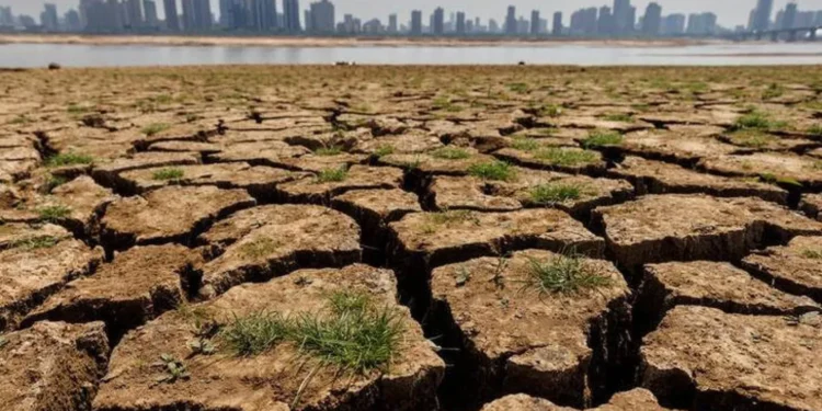 «سوبر نينيو».. هل يواجه العالم موجة مناخية تعيد رسم خريطة الغذاء والطاقة؟