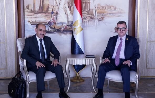 التخطيط تبحث مع وكالة الفضاء المصرية تعزيز توظيف تكنولوجيا الفضاء في التنمية