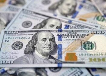 سعر الدولار اليوم الخميس .. استقرار عند 50.65 جنيه