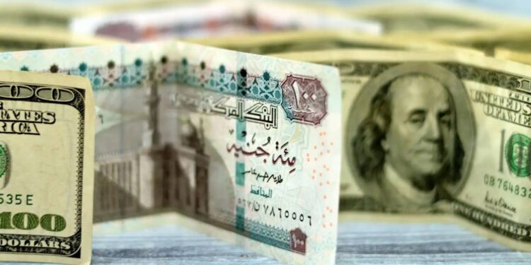 الدولار يقترب من حاجز الـ50 جنيهًا في البنوك المصرية.. 3 سيناريوهات للجنيه المصري