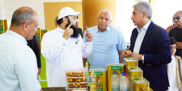 مهرجان لحصاد الزيتون والتراث البدوي.. مقترح جديد للترويج لمطروح سياحيًا