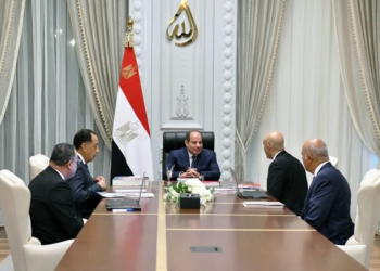 السيسي