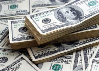 الدولار يحافظ على استقراره دون 50 جنيهًا وارتفاع الاحتياطي النقدي