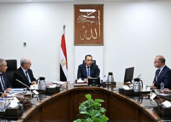 رئيس الوزراء يناقش نقل ملكية عدد من الشركات القابضة وشركاتها التابعة