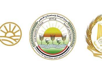 طرح السكر الحر بسعر 25 جنيهًا للكيلو في منافذ التموين والزراعة وجهاز مستقبل مصر اعتبارًا من غد