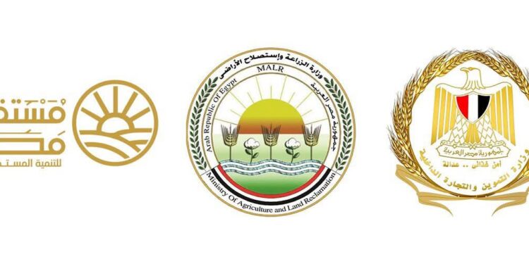 طرح السكر الحر بسعر 25 جنيهًا للكيلو في منافذ التموين والزراعة وجهاز مستقبل مصر اعتبارًا من غد