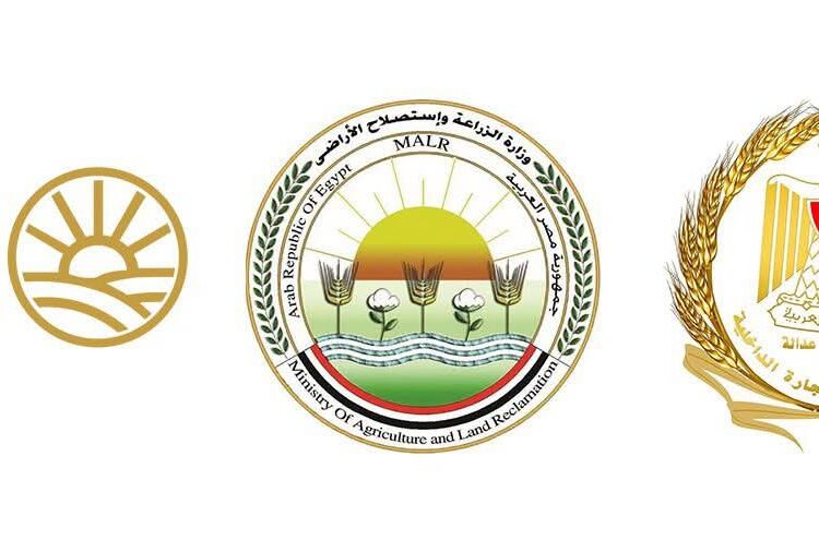 طرح السكر الحر بسعر 25 جنيهًا للكيلو في منافذ التموين والزراعة وجهاز مستقبل مصر اعتبارًا من غد