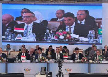وزير الصناعة يدعو من الهند إلى تحويل تعاون «البريكس» الصناعي إلى مشروعات إنتاجية مشتركة