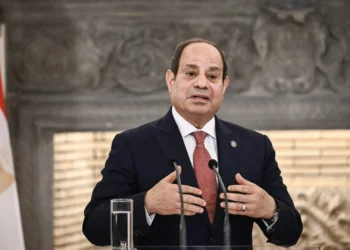 السيسي يعيّن محمد أحمد إبراهيم رئيسًا للهيئة العامة للمنطقة الاقتصادية للمثلث الذهبي