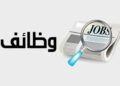 العمل تقدم وظائف جديدة للشباب.. 1489 فرصة عمل في 13 محافظة وطريقة التقديم