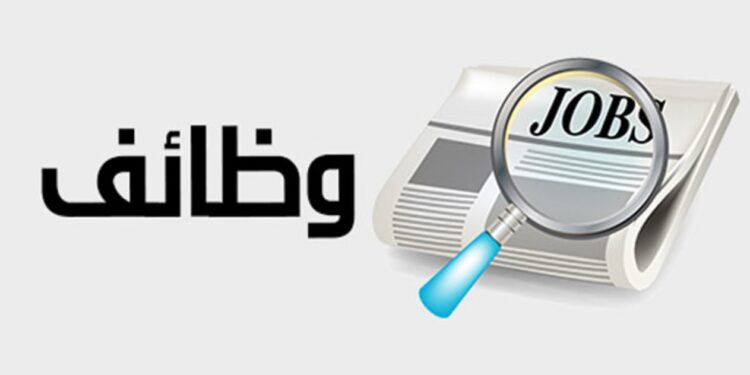 العمل تقدم وظائف جديدة للشباب.. 1489 فرصة عمل في 13 محافظة وطريقة التقديم