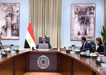 «جونفاري إندستريز» الإسبانية تدرس استثمارات السيارات والطاقة في مصر